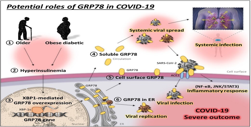 Μελέτη: Η ινσουλίνη ως παράγοντας κινδύνου για COVID-19~Αντιμετώπιση