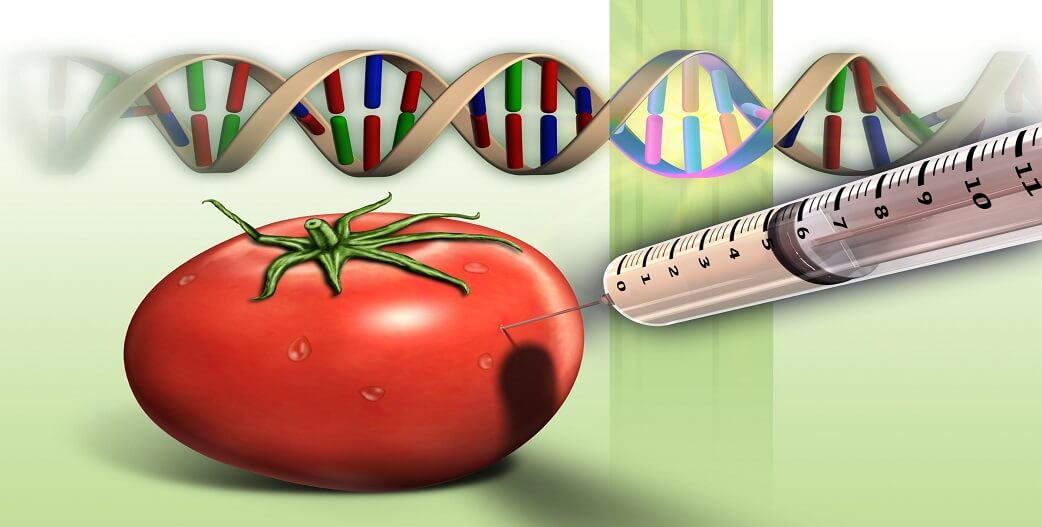 «Νέες Γονιδιακές Τεχνικές»: Η ΕΕ ανοίγει την κερκόπορτα στους γενετικά τροποποιημένους οργανισμούς