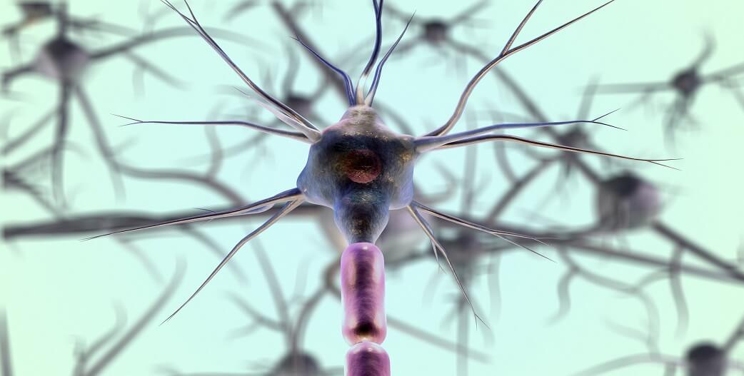 Σημαντικό επίτευγμα: Εντοπίστηκαν νευρώνες που αποκαθιστούν το βάδισμα σε παράλυτους, μετά από ηλεκτρική διέγερση