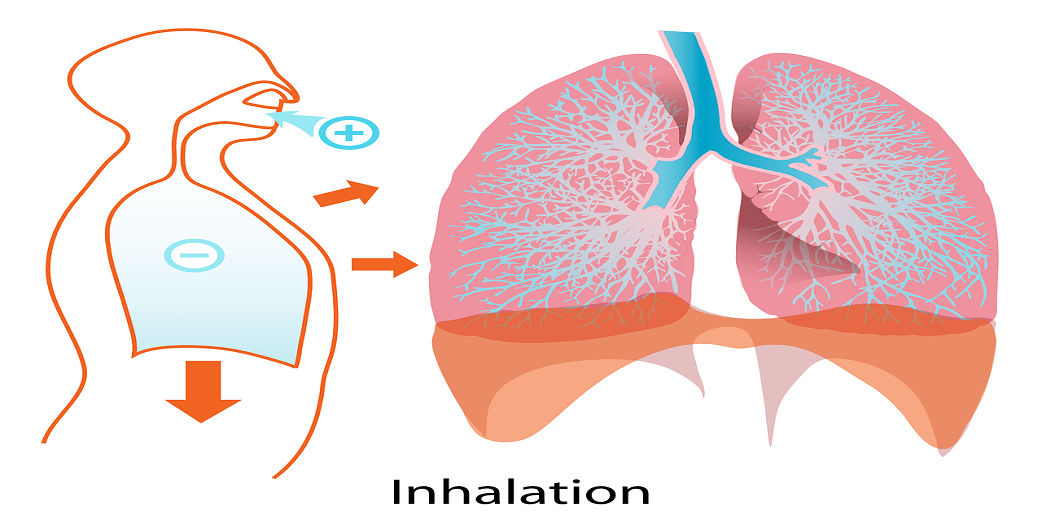 Παθήσεις των πνευμόνων-ΧΑΠ: Σύνδεση με Καρδιαγγειακά, οστεοπόρωση, πρόωρη γήρανση