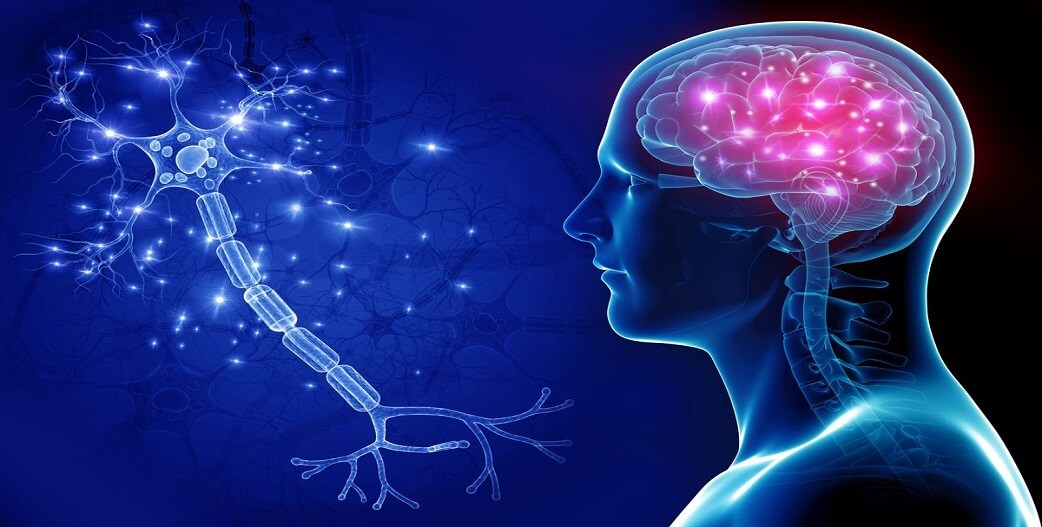 Νέοι δρόμοι για τον έλεγχο νευροφλεγμονών του εγκεφάλου