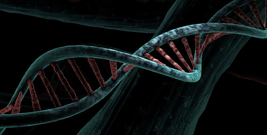 Τί είναι το DNA και πώς επηρεάζει την υγεία μας;