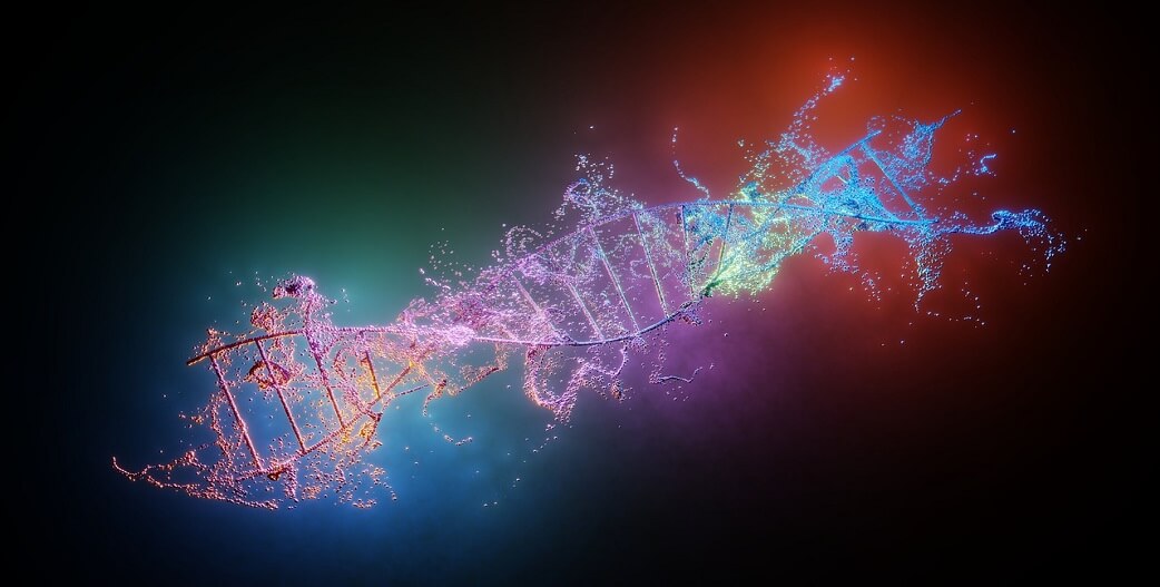 Χημική ουσία στο τεχνητό γλυκαντικό σουκραλόζη διασπά το DNA~Σύνδεση με καρκίνο και διαρρέον έντερο