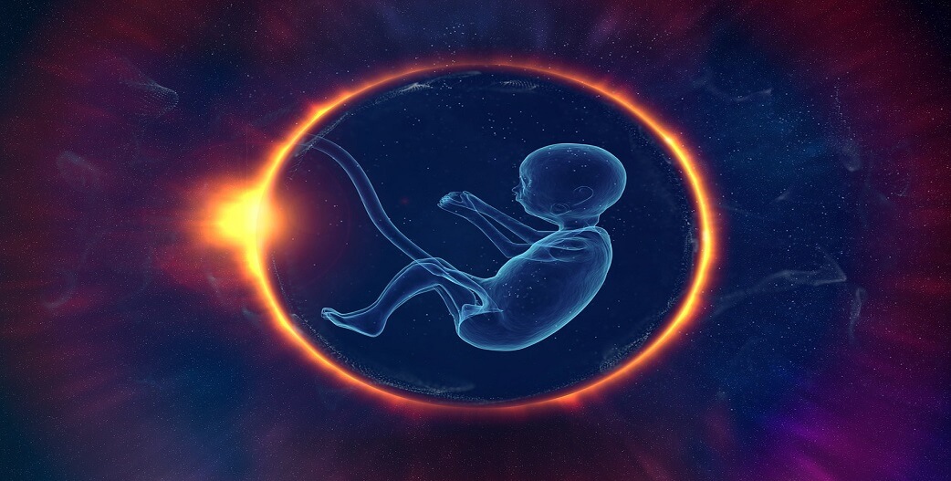 Συνθετικά ανθρώπινα έμβρυα, εγείρουν σοβαρά ηθικά και νομικά ζητήματα