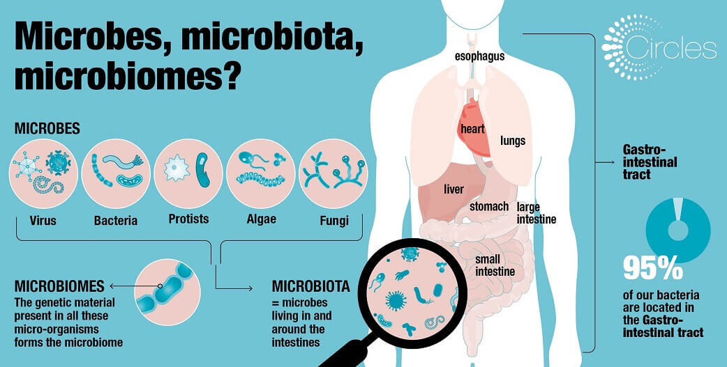 Μικροβίωμα: 8 συνήθειες που βλάπτουν την εντερική μας χλωρίδα