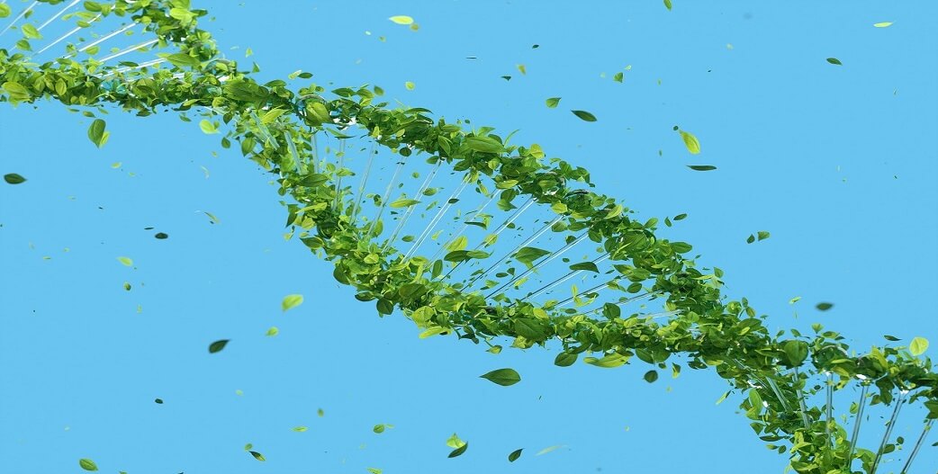 Τεχνολογίες τροποποίησης του DNA-Γονιδιακές θεραπείες: Πού σταματά η επιστήμη και πού αρχίζει η ευγονική;