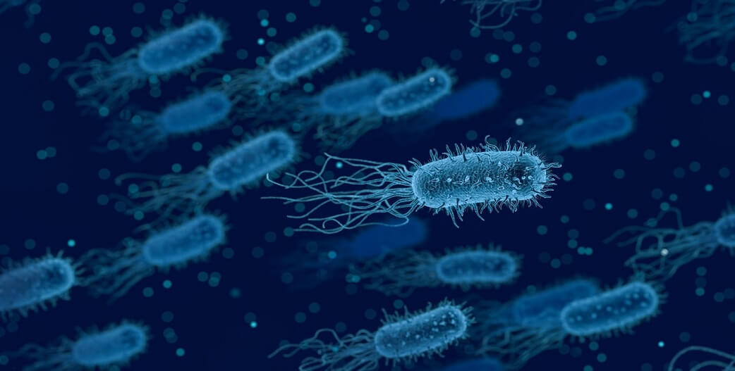 9 από τα πιο επιβλαβή βακτήρια για τον άνθρωπο