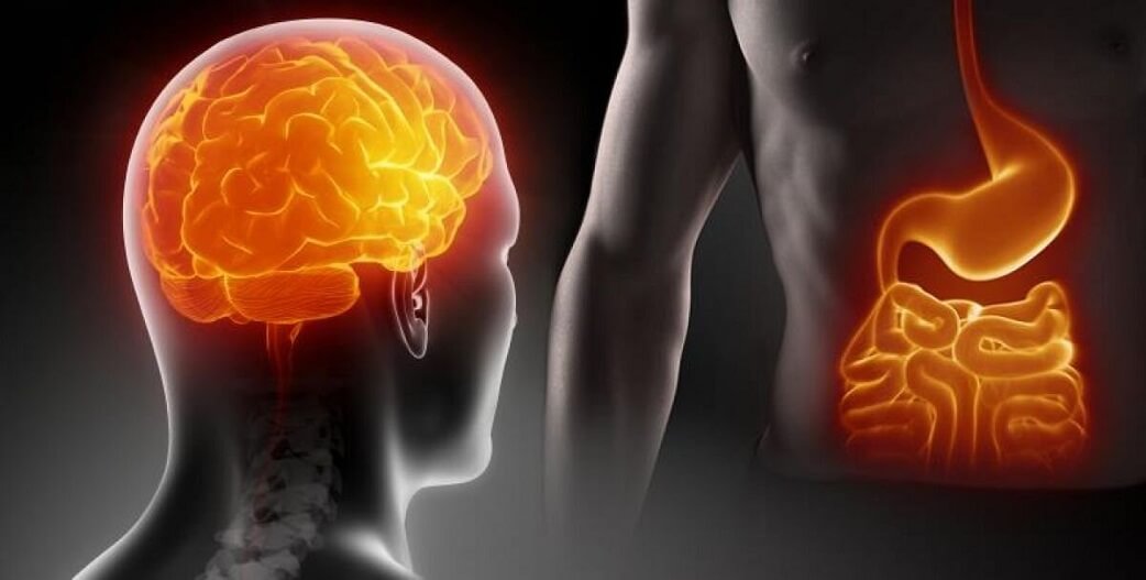 Άξονας εγκεφάλου-Εντέρου: Η διαλείπουσα νηστεία έχει ως αποτέλεσμα δυναμικές αλλαγές στον εγκέφαλο