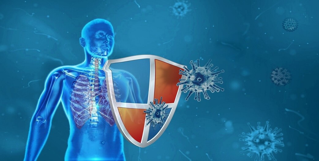 Έλεγχος της φλεγμονής περιορίζει τη βλάβη και την ικανότητα των ιών να πολλαπλασιάζονται στον πνεύμονα