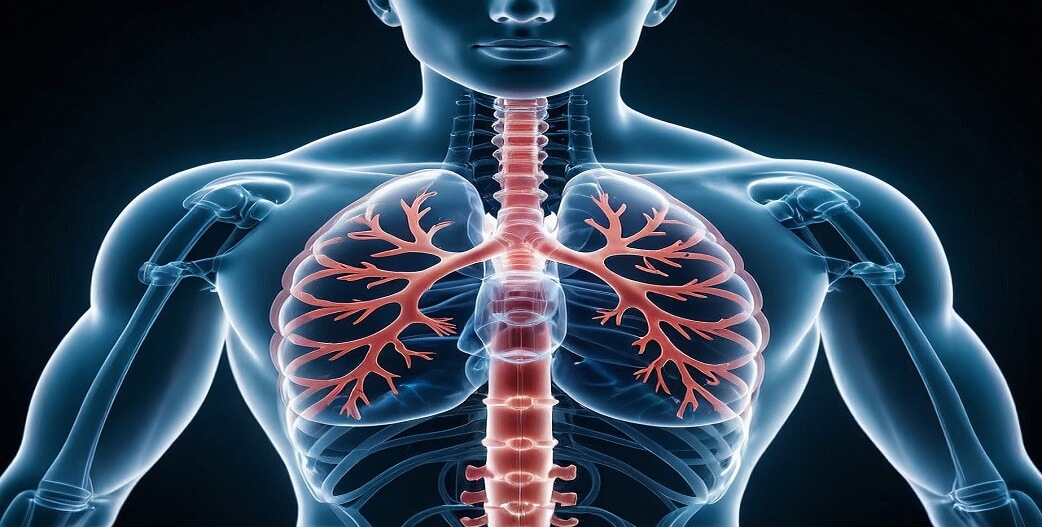 Απλή εξέταση ούρων θα μπορεί να αποκαλύπτει καρκίνο του πνεύμονα σε πρώιμο στάδιο