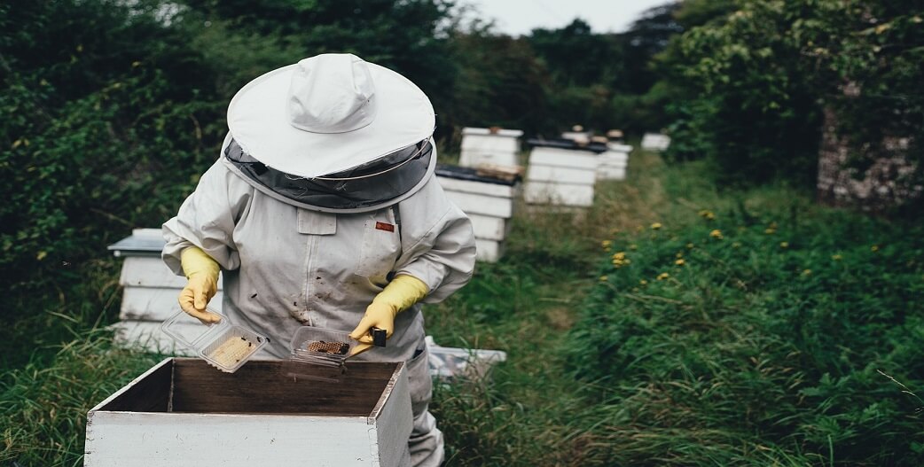 ΣΟΣ από τους μελισσοκόμους: 70% μειωμένη η παραγωγή-Τους απαγορεύουν την πρόσβαση στα δάση