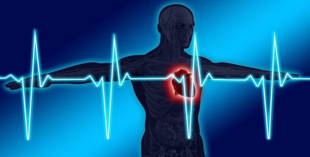 Πώς το υγιές έντερο προάγει την υγεία της καρδιάς