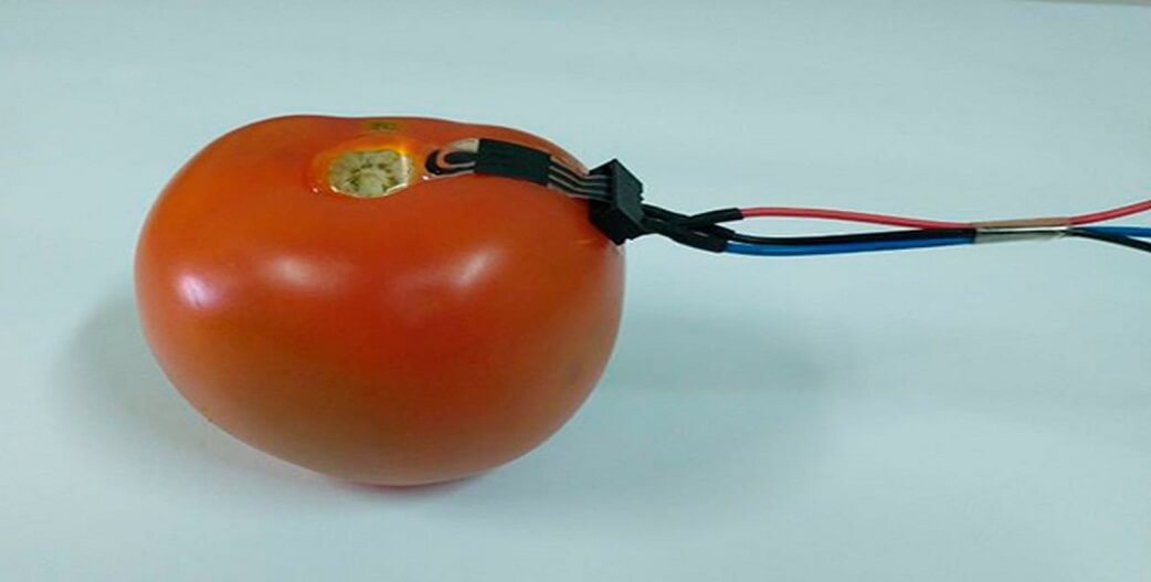 Συσκευή «φοριέται» σε φρούτα-λαχανικά και μετράει τα φυτοφάρμακα